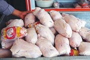 چهره‌های پنهان فساد در بازار مرغ و گوشت/ پشت‌پرده افزایش ۹ برابری قیمت مرغ در بازار