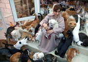تصاویر جالب از خانه زنی که ۵۰۰ گربه و سگ دارد!