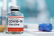 نحوه انتقال واکسن کرونا به ایران اعلام شد