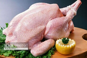 رئیس اتحادیه مرغ: قیمت مرغ در بازار آزاد را اعلام نمی‌کنیم