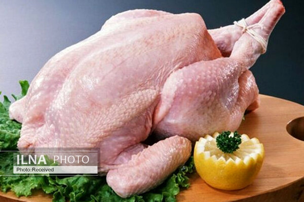 رئیس اتحادیه مرغ: قیمت مرغ در بازار آزاد را اعلام نمی‌کنیم