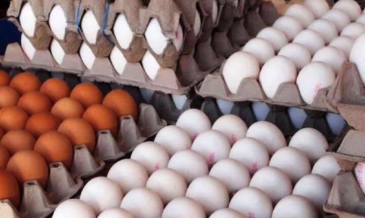 تخم مرغ به شدت گران می‌شود