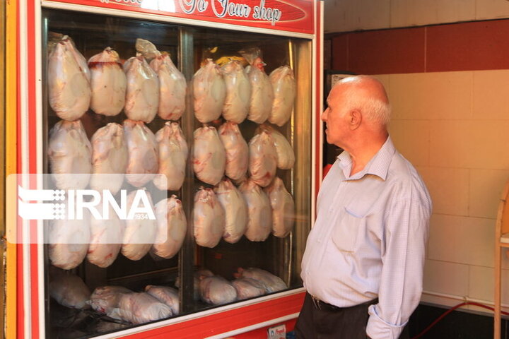 روند ادامه‌دار کاهش قیمت مرغ / هر کیلو در بازار آزاد چند؟