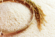 مقایسه قیمت کالاهای اساسی و ضروری در مهر ۹۹ و ۹۸ / برنج خارجی ۱۱۲ درصد گران شد