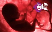 آمار تلخ و وحشتناک سقط جنین در ایران / فیلم