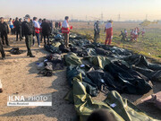 جزییات پرداخت غرامت سقوط هواپیمای اوکراینی از سوی ایران