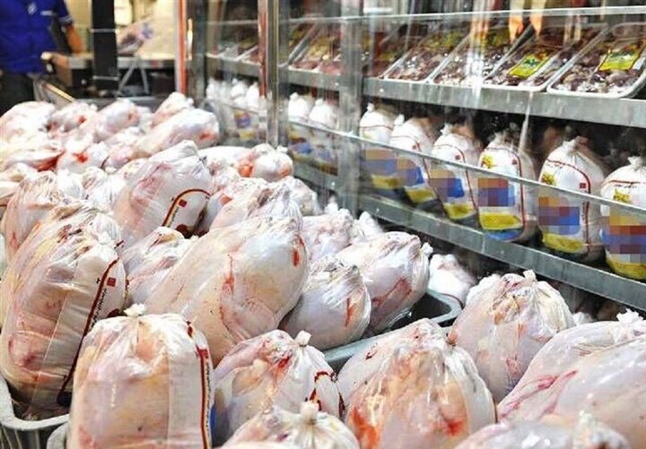 کاهش قیمت مرغ با افزایش عرضه نهاده‌ها / هر کیلو مرغ ۲۰ هزار تومان