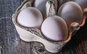 تخم مرغ در تهران شانه‌ای ۴۰ هزار تومان!