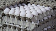 گرانی سنگین روی شانه‌های تخم‌مرغ؛ افزایش قیمت هر شانه به ۵۰ هزار تومان!