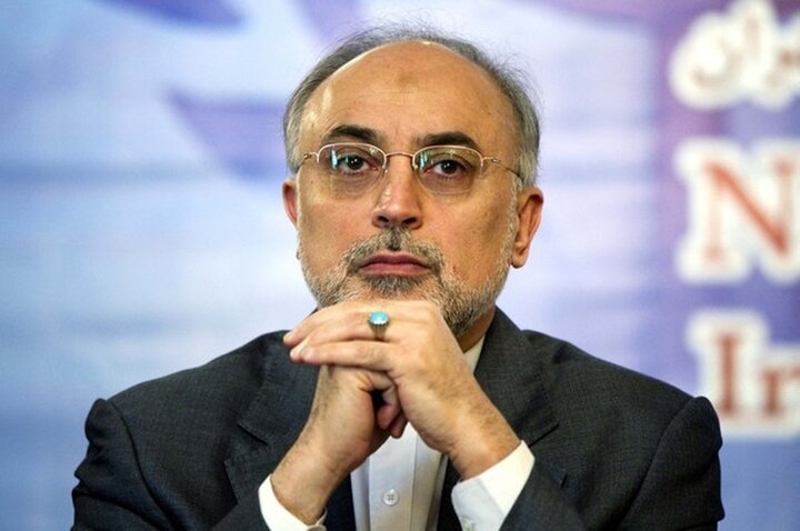 توصیف صالحی از ظریف: او یک برند بین‌المللی برای ایران است