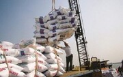قیمت هر کیلو برنج هندی و پاکستانی بالای ۲۰ هزار تومان