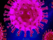 شناسایی نخستین فرد مبتلا به نوع جدید ویروس کرونا در فرانسه