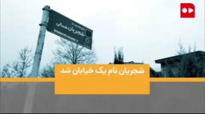 نظر مردم در خصوص نامگذاری خیابان استاد شجریان / فیلم