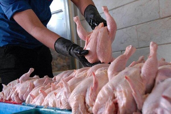 قیمت هر کیلو مرغ در بازار ۲۰ هزار و ۴۰۰ تومان 