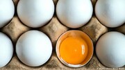 قیمت هر کیلو تخم‌مرغ اعلام شد/ تکلیف افزایش قیمت مواد شوینده و نان هم مشخص شد