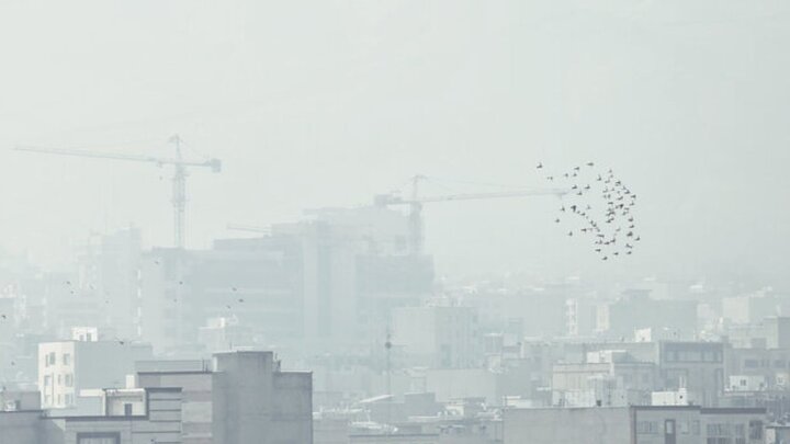 خبر مهم درباره تعطیلی تهران در پی آلودگی هوا 