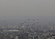 آمار نگران کننده مرگ ایرانی‌ها بر اثر آلودگی هوا