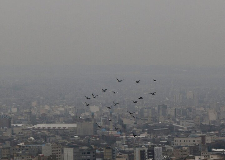 آمار نگران کننده مرگ ایرانی‌ها بر اثر آلودگی هوا 