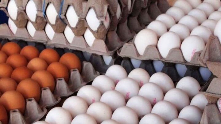 قیمت جدید و مصوب هر شانه تخم‌مرغ چند؟