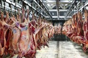 کاهش مصرف گوشت به دلیل افزایش قیمت