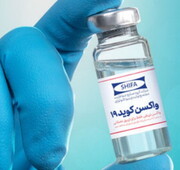 تزریق واکسن ایرانی کرونا به ۴ نفر دیگر/ زمان تزریق واکسن به گروه سوم اعلام شد