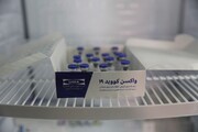 در دستیابی به واکسن ایرانی کرونا تاخیر ایجاد شد