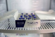 زمان تزریق واکسن ایرانی کرونا به ۷ داوطلب دیگر اعلام شد