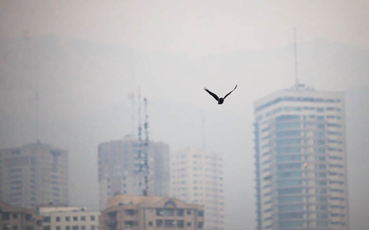 آلودگی مازوت ایرانی ۷ برابر جهان؛ مقصر آلودگی هوا کیست؟
