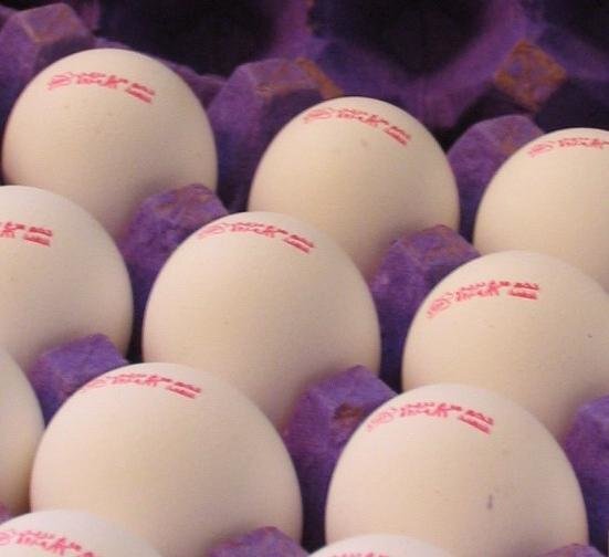 عرضه تخم مرغ فله‌ای ممنوع خواهد شد؟