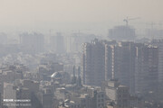 عضو شورای شهر:  نیروگاه‌های تهران گازوئیل پرگوگرد می سوزانند