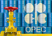 استقبال اوپک از کاهش داوطلبانه نفت عربستان