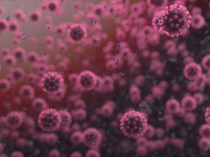 کشف دو نوع جدید ویروس کرونا بدتر از کرونای انگلیسی و آفریقایی در آمریکا