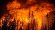 آتش در جنگل‌های رامسر دوباره زبانه گرفت