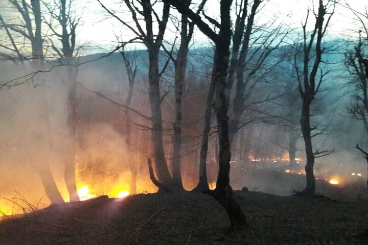 تداوم آتش‌سوزی اراضی جنگلی جمهوری آذربایجان در مرز آستارا 