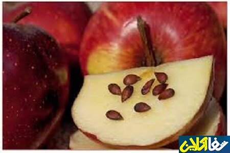 خطرات مصرف دانه های سیب 