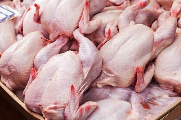 مرغ باز هم گران شد/ هر کیلو مرغ گرم چند؟
