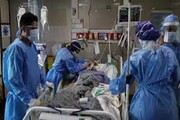 فوت ۲ بیمار کرونایی در بوشهر