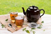 مضرات مصرف زیاد چای سیاه