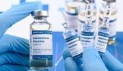 ماجرای دزدی واکسن کرونا در یک دانشگاه آمریکایی