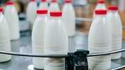 گرانی ۸۸ درصدی شیر خام فقط در یک سال/ لبنیات باز هم گران می‌شود؟