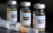 زمان پایان مرحله اول تست انسانی واکسن ایرانی کرونا