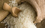 گرانی ۱۴۸ درصدی برنج خارجی و ۴۸ درصدی برنج ایرانی در یک سال