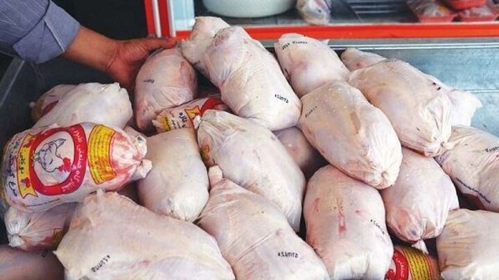 مرغداران نقشی در افزایش قیمت مرغ ندارند/ قیمت واقعی مرغ چقدر است؟