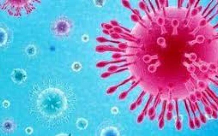 مُسری‌ترین ویروس‌های جهان | هر ویروس کرونا چند نفر را می تواند مبتلا کند؟/ عکس