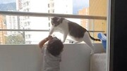 مراقبت جالب یک گربه از کودک انسان/ فیلم
