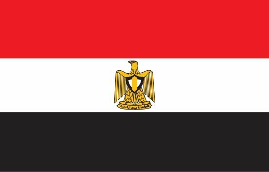 مصر به عضویت دفتر اتحادیه آفریقا درآمد