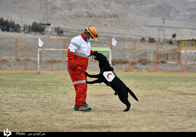 تمرینات جالب سگ های جستجو و نجات هلال احمر در اصفهان/ تصاویر