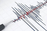صحنه وحشتناک زلزله ۷.۱ ریشتری در فوکوشیمای ژاپن / فیلم