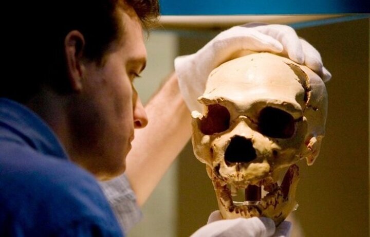 مغز اجداد انسان در آزمایشگاه تولید شد!