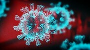 کشف ۷ گونه جدید ویروس کرونا در آمریکا